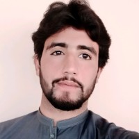 Shayan Bacha