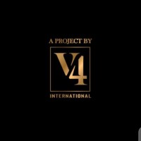 V4Mall Sales Manager