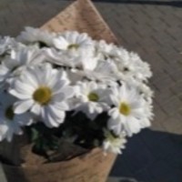 نوره السبيعي