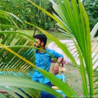 siva karthi