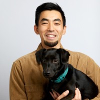 Lincoln Le