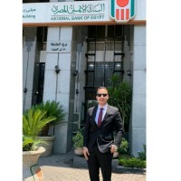 Mohamed Amer