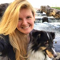 Ginger Sorvari Bucklin