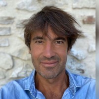 david chavanis