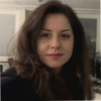 Sara Seifi