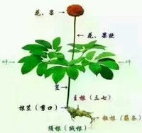 徐卫东