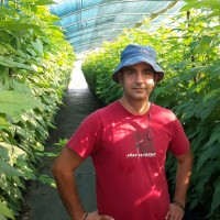 EVANGELOS TSORMPATSIDIS