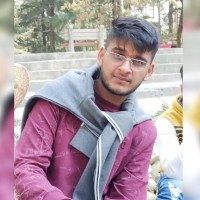 Ananya Vikram Singh