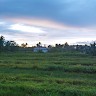 Rusti Ningsih