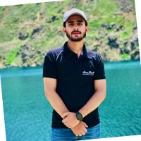 Raheel Rauf