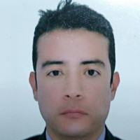Andres Mendi