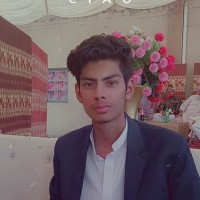 Tanees Amir