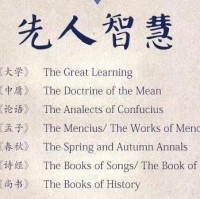 王娟娟