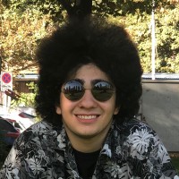 Sina Bodaghi