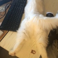 虞佳庆