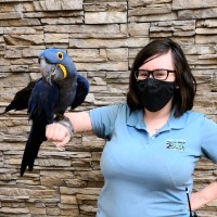 Piper Sparrow