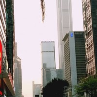 谢楚林