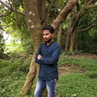 Pathik Bhattacharya