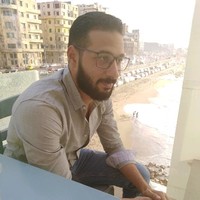 Ali Elfaramawy