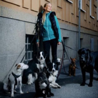 Annie Englund
