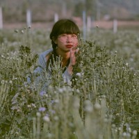 Aye Myat Myat Soe