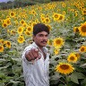 Rajeev Krishna