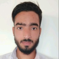 Aadil Bashir