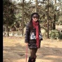 袁彩凤