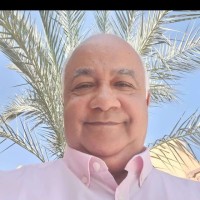Fouad Shereen