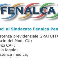 CAF FENALCA LATINA
