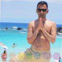 Yogi M