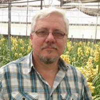 Carl Homan