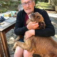 GILLES VERARD