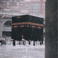 فرح الفيصل