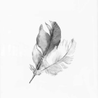 Mireille HURLIN