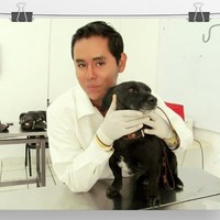 Darwin Jair Lazarte yucra