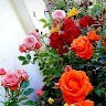 Asif Gujjar