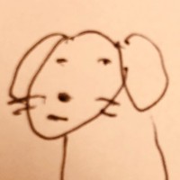 Shinnosuke Suzuki