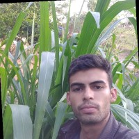 Victor Rodrigues