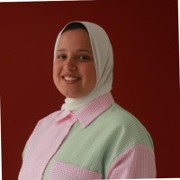 Nour Hussien