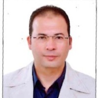 Mahmoud Elashkar