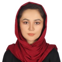 Pari Dukht Hussaini