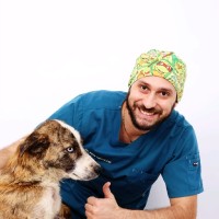 Roy Hassoun