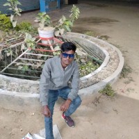Vikash Kumar