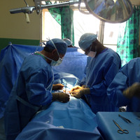 Mark E. Van Wormer MD,RVT,RDCS