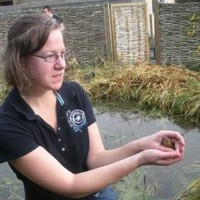 Debbie Fieldsend