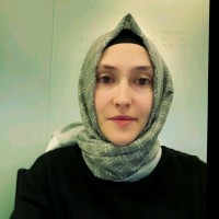 Pelin Soysal Budak