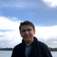 Fernando Vergara