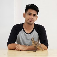 Carleel Zulkifli