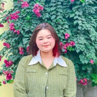Nguyen Lan Anh